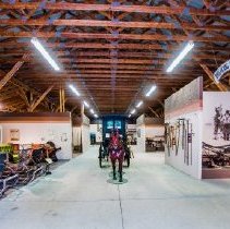 Ambulance, Horse-Drawn